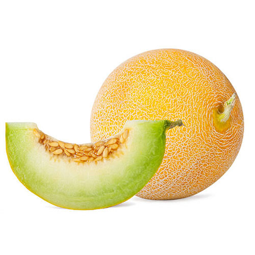 [47] MELON