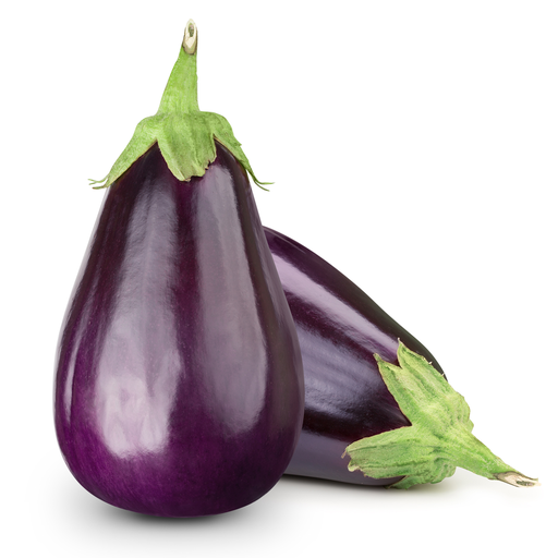 [11] AUBERGINE